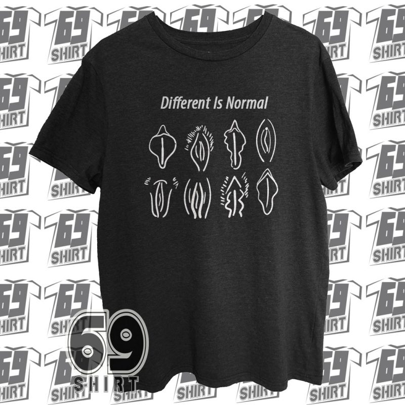 Different Is Normal Funny T-Shirt SX0019
