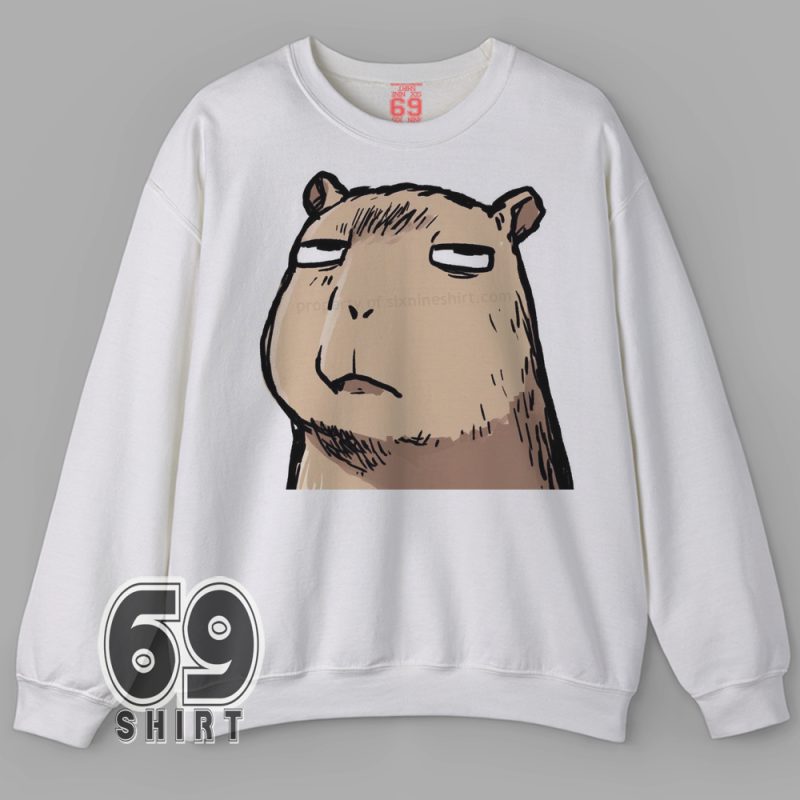 Chill capybara meme-style illustration sweatshirt